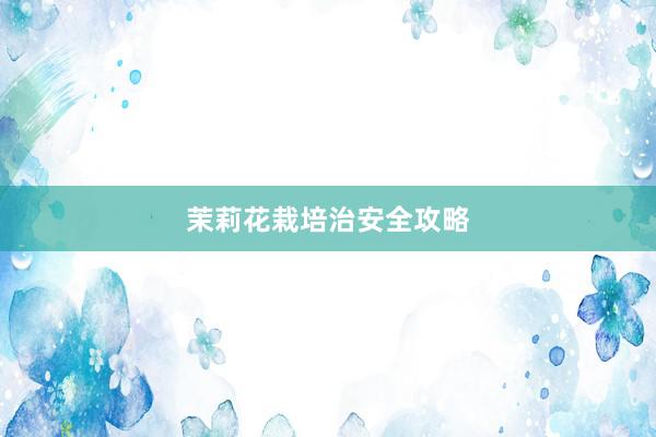 茉莉花栽培治安全攻略