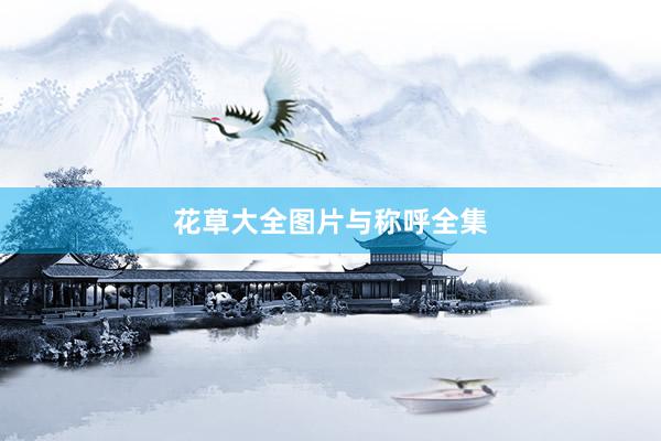 花草大全图片与称呼全集