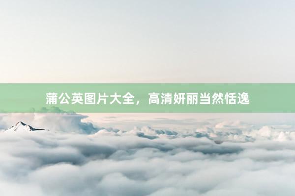 蒲公英图片大全，高清妍丽当然恬逸